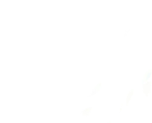 Toyota Việt Nam công bố doanh số bán hàng tháng 2/2025